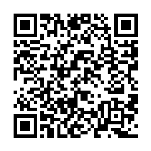 至于那两颗火红色丹药到底是什么……只怕任何人问苏落二维码生成