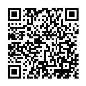 至于那家卖假酒的公司要如何审判已经不是大家关心的问题二维码生成