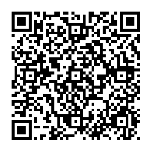 至于鱼类贝海不认为有什么鱼会生活在沙河里就算是有估计也不太会符合这些鸟的胃口二维码生成