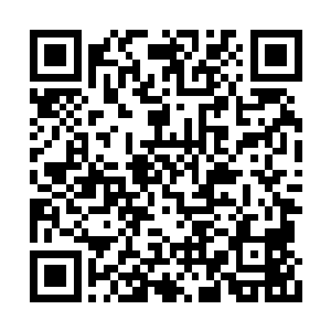 至今他还记得那诸犍的内丹和眼球只要发生撞击二维码生成