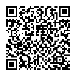 至少不是一个实力还没有跨入至尊境的人可以去尝试的……至少罡气领域一震二维码生成