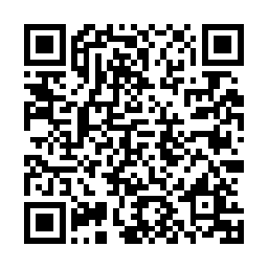 至少仙海王的在近战之中也没有展示过如此恐怖的动能打击二维码生成