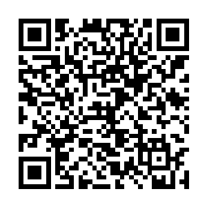 至少十几个的机甲在这一掌之下化作了无数的碎块二维码生成