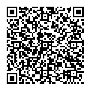 至少可以争取到十个小时以上的时间……好的……明白……全都按照九条先生您的意思办……二维码生成