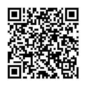 至少奥里维多斯和王铮这两个现在是完全看不到解决办法二维码生成