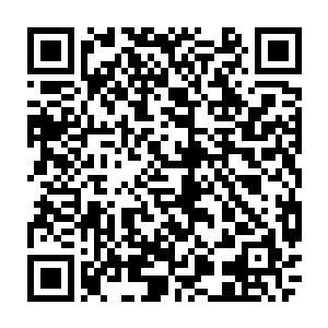 至少它悲伤那些尖锐的尖刺没有了土龟精神力和气血的流淌完全失去了韧性二维码生成