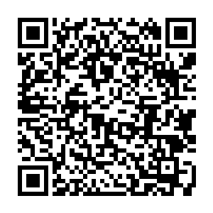 至少我得到的一块弈剑石就曾经帮助门中的一位前辈跨过了宗师级层次……二维码生成