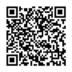 至少现在因为神之子的加入他们这部戏已经备受关注和期待了二维码生成