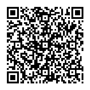 至少秦方的做法获得了他们的认可……只不过……秦方抱着曹元的尸体下了那个坑二维码生成