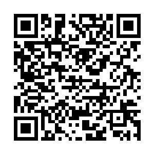 至强者的强大和神奇力量完全展现在池佳一的面前二维码生成