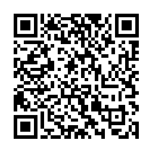 舞台上的众人顿时将目光放在了这道声音的主人……二维码生成