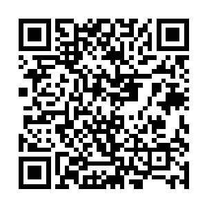 艰难维持着生存的做木材生意的一个小小的中介商行二维码生成