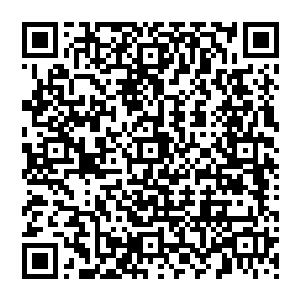 艾晴艾雨这对孪生姐妹花则仅仅是看了孙子轩一眼就将目光重新放回到了自己手中拿着的籍当中二维码生成