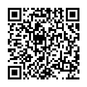 芒果黄金档的收视率已经连续霸占了好几天的收视率冠军二维码生成