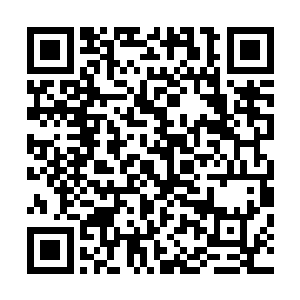 芯片就能够一口气推演出晨星级别烙印剑士的添加符文之类二维码生成