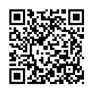 花了不小的代价好不容易才弄齐七根小木棒呢二维码生成