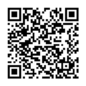 花匠的小腿就会被这个诡异的黑色磨盘全部消磨掉二维码生成