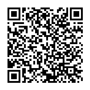 花木兰已经完全不知道现在该用什么语言来形容自己此时的心情了二维码生成