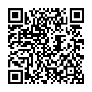 花朵当然不会去傻乎乎的问天道她漂亮还是自己的表姐漂亮二维码生成