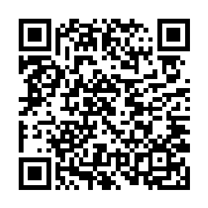 花衬衫青年暗暗决定暂时先不当着白灵的面表现愤怒二维码生成