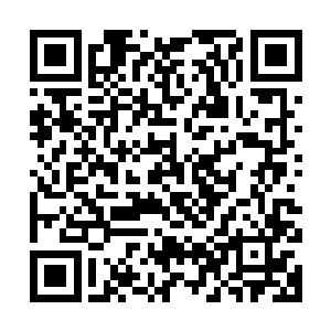 苏凡在肖恩还在走过来的时候已经悄无声息地来到了靠门的墙边二维码生成