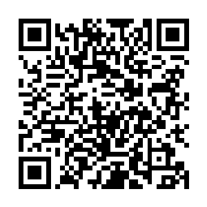 苏凡左肩下面一点的位置应该是被什么崩飞的利器划过二维码生成