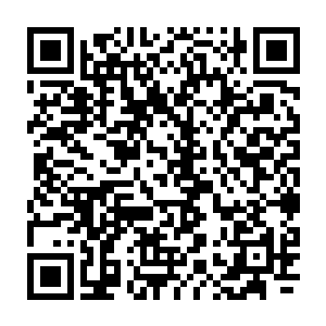 苏凡才真正了解另外两方为什么在看到他们发现矿脉的时候没有任何动静了二维码生成