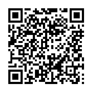 苏凡挨在死士胸口的上的拳头此刻又是轻轻的一抖二维码生成