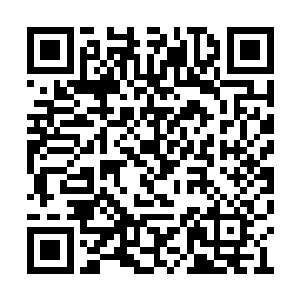 苏凡的车只不过是国家领导人用的红旗轿车而已二维码生成