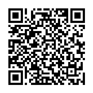 苏凡看着自己刚刚击中那人的地方出现了几道红色的印记二维码生成