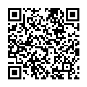 苏凡能成为他们的教官在他们看来是一件很荣誉的事情二维码生成