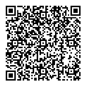 苏妲己残魂缓缓凝聚　在虚空中　出现一个倾国倾城的女子　看起來年岁不大　但那一双沒货的眼神　好似天道都要为之失色二维码生成