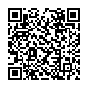 苏婉终究是磕磕绊绊的将宴席的准备工作给做好了二维码生成