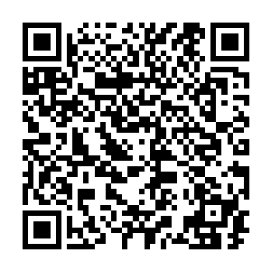 苏嫣看着那一碗热气腾腾的面条端到自己面前来的时候不由得拿起了两根筷子二维码生成