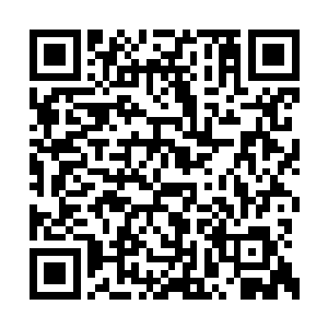 苏林那一双冷漠的眸子让四夜从头顶凉到了脚底二维码生成