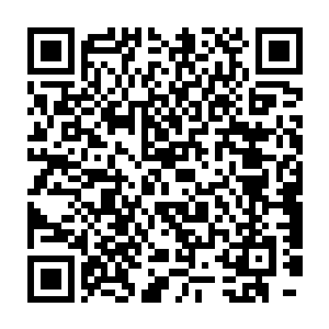 苏澈一看到这瞪着溜圆溜圆的大眼睛一动不动地盯着自己看的小萌物二维码生成