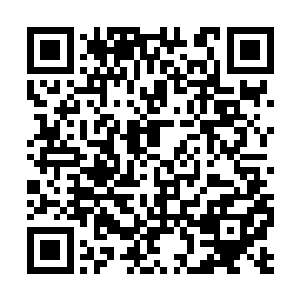 苏落人生中从来没有一刻像现在这样激动过失态过二维码生成