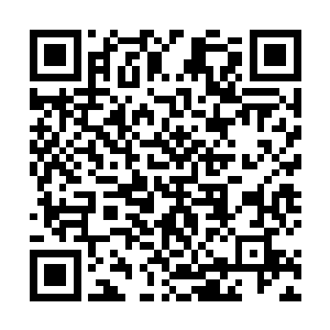 苏落在魔界的事将会让她的军衔上升速度快的前无古人二维码生成