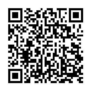 苏落将诡刺队长和虎头人手里的两只武器印记也给收集了过来二维码生成