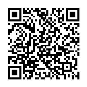 苏落就在空间戒指里找到了跟王先生身上同款同色的长衫二维码生成