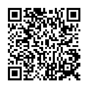苏落认真的看着这位曾经挖过她一次墙角的潘副院长二维码生成