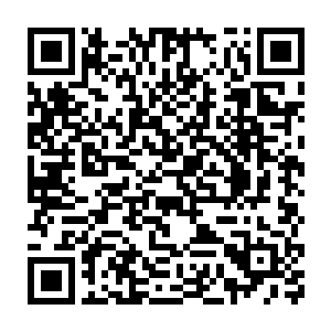 苏落跟南宫流云在修罗界的追杀中一起进入西卡森林最深处的田园村二维码生成
