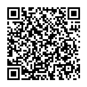 苏谯这一年多来经济增速放缓不过是高速发展过程中的一个消化时段二维码生成