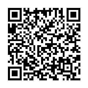 苏雨果在那里眨着灵动的双眼看了看一脸不情愿的好友顾苒二维码生成