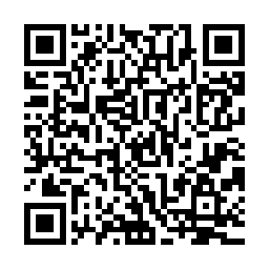 苏青黛可以想像得到他当初在林业局上班的时候是什么样的情形二维码生成