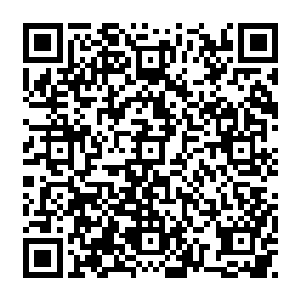 苏青黛记得自己前世最希望看到的就是有人拨款下来给清河村修条像样点的水泥路二维码生成