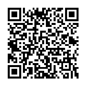 苏静就跟小老鼠似的又钻进了白振东所在的房间二维码生成