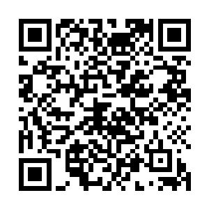 苏顿时将鳞片递了过去朝着已经走到身边的娜丽丝问道二维码生成