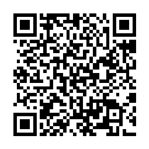 苗坤生低头看了一下压在玻璃板下的各单位联系电话号码表二维码生成