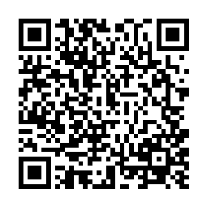 苗忠伟和赵咏君终于看清了祠堂内是一只什么怪物了二维码生成